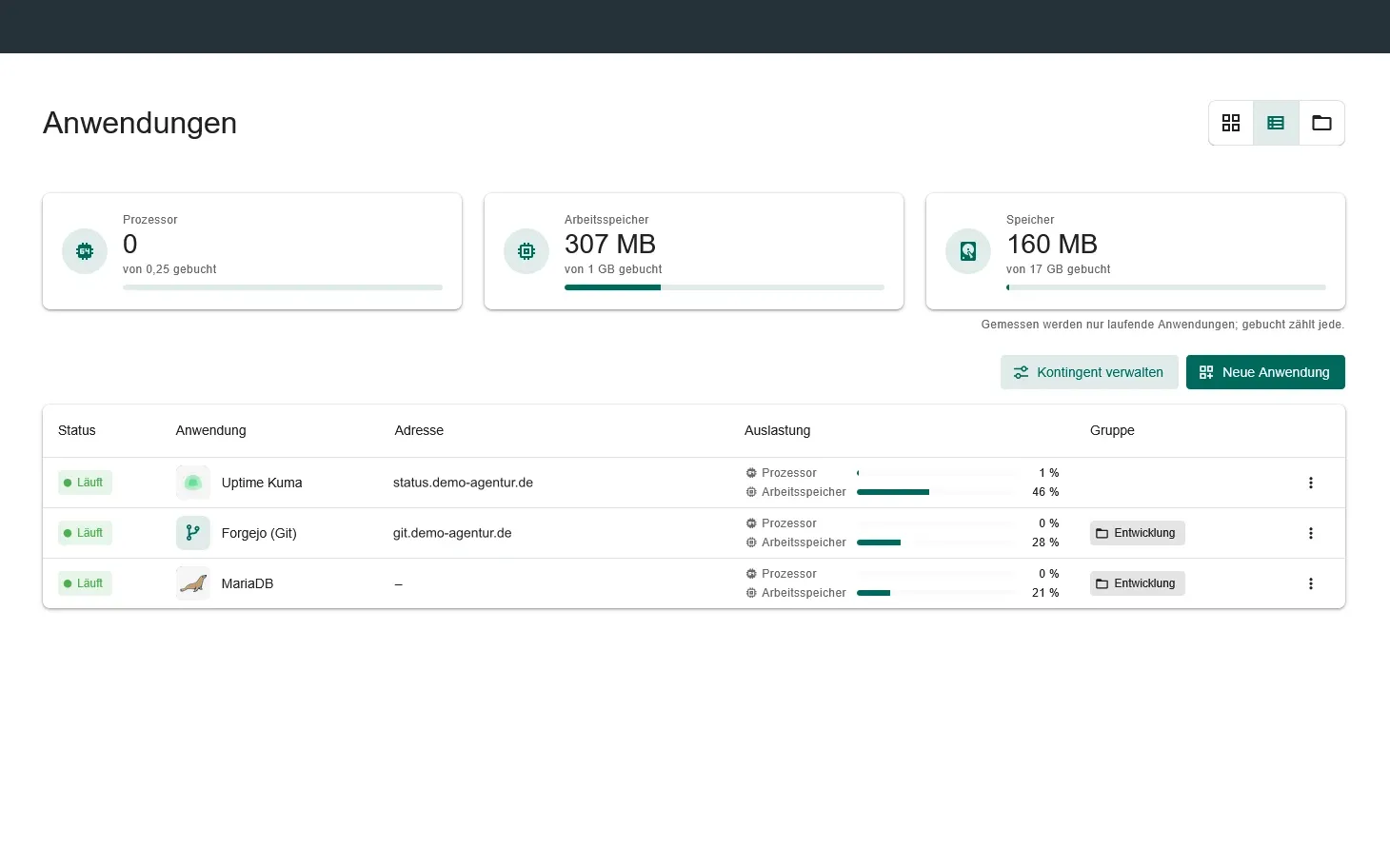 Panel-Übersicht von hosting.lufa.io mit Ressourcen-Anzeige und laufenden Apps